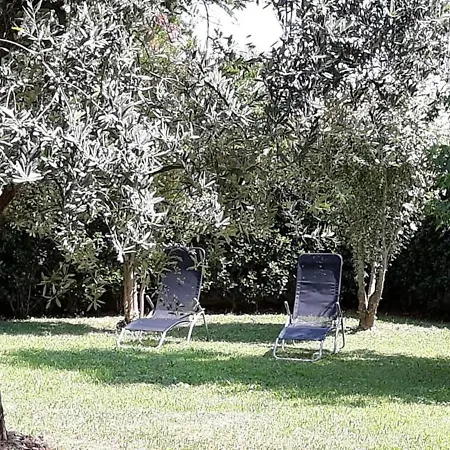 Via Provinciale - 4 Apartment *
